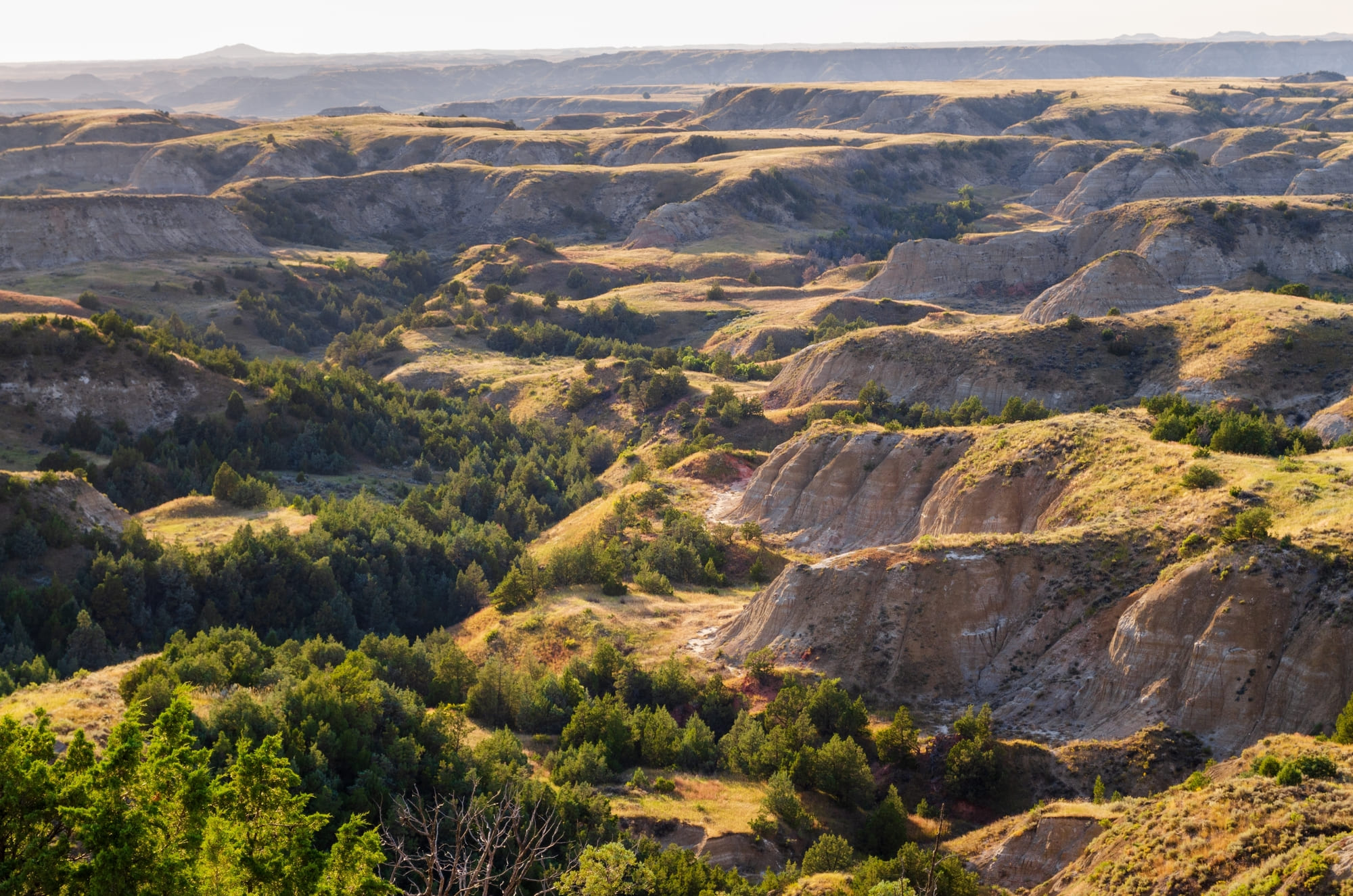 North Dakota Process Service